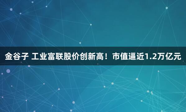 金谷子 工业富联股价创新高！市值逼近1.2万亿元