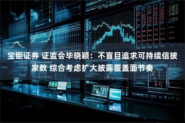 宝钜证券 证监会毕晓颖：不盲目追求可持续信披家数 综合考虑扩大披露覆盖面节奏
