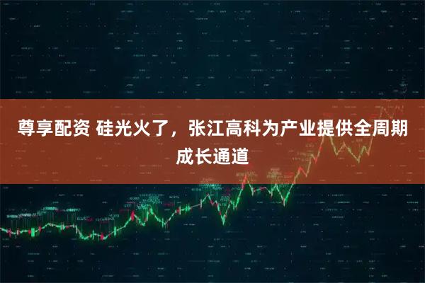 尊享配资 硅光火了,张江高科为产业提供全周期成长通道