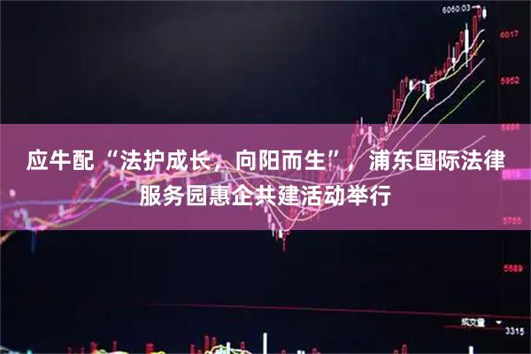 应牛配 “法护成长,向阳而生”,浦东国际法律服务园惠企共建活动举行