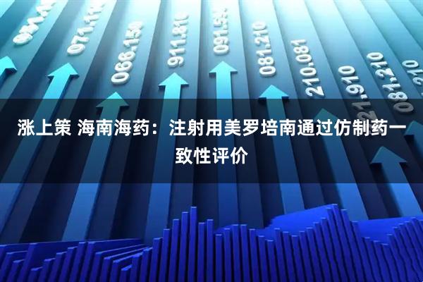 涨上策 海南海药：注射用美罗培南通过仿制药一致性评价