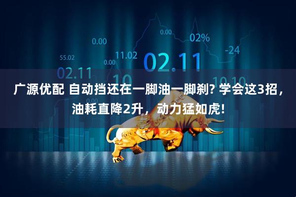 广源优配 自动挡还在一脚油一脚刹? 学会这3招,油耗直降2升,动力猛如虎!