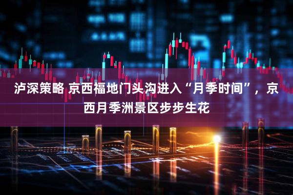 泸深策略 京西福地门头沟进入“月季时间”，京西月季洲景区步步生花